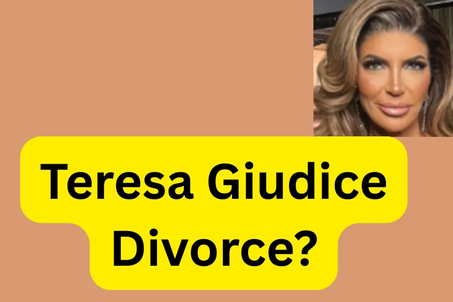 Teresa Giudice Divorce